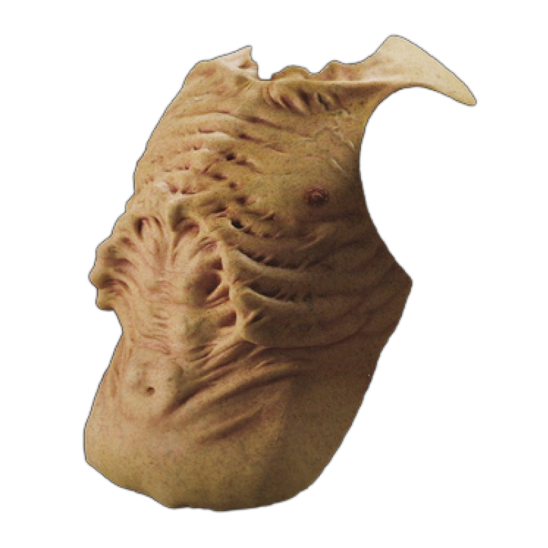 Monster Body Suit