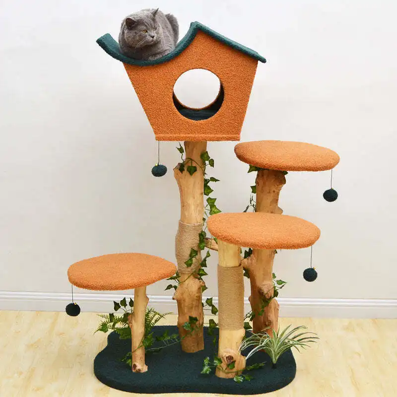 ❤️The Best Gift For Your Cats