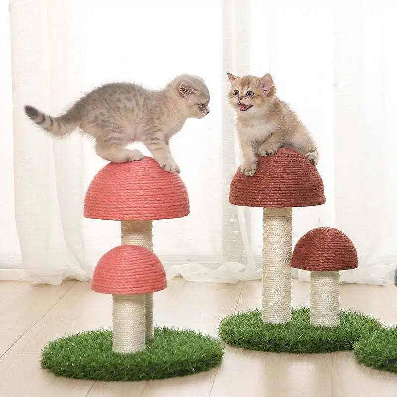 ❤️The Best Gift For Your Cats