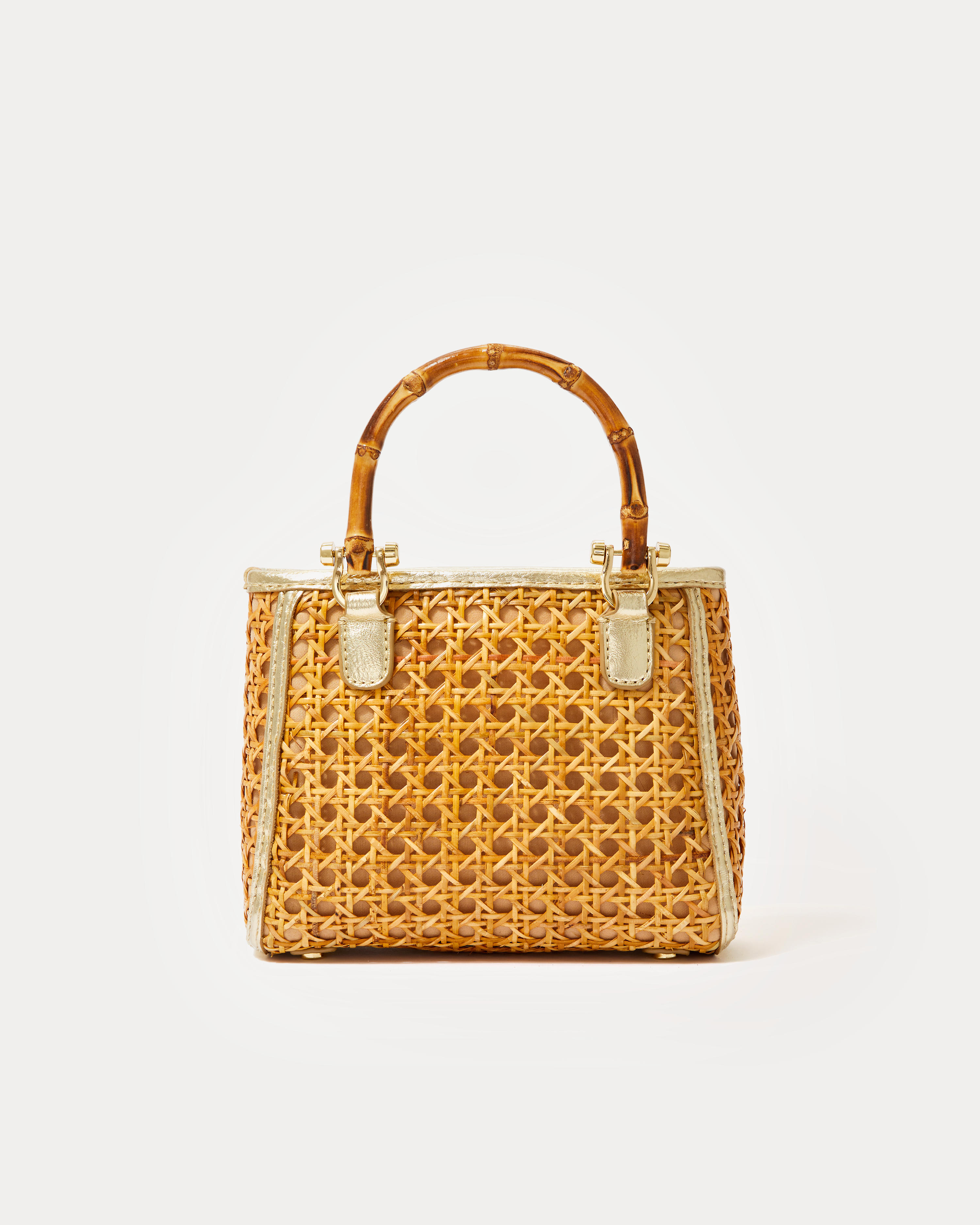 Adrian Cane Mini Bag