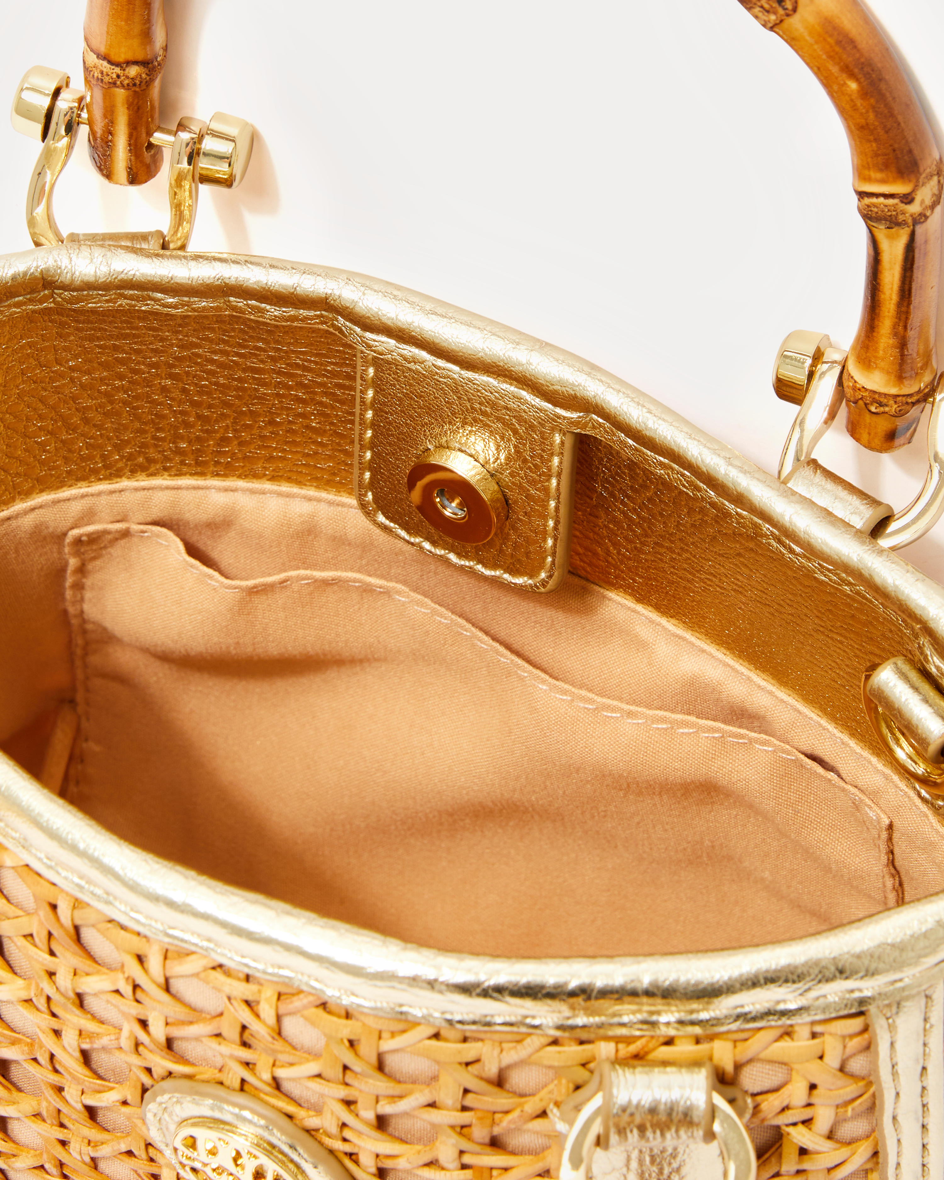 Adrian Cane Mini Bag