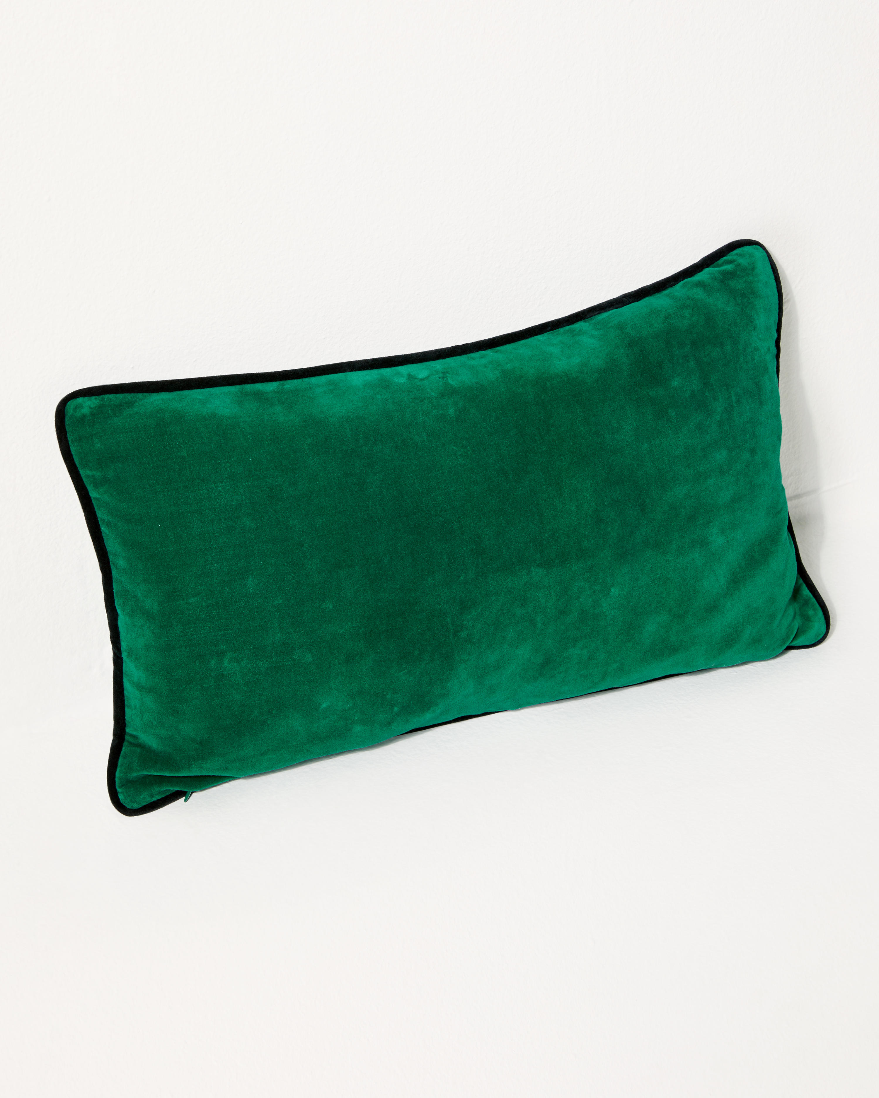 Lumbar Embroidered Velvet Pillow Case