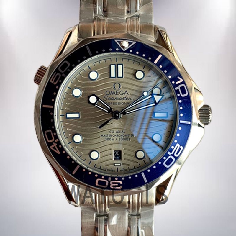 Omega Seamaster 210.30.42.20.06.001 42mm Men Grey Dial