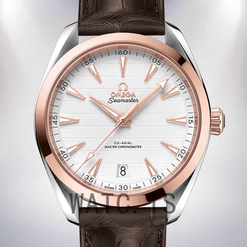 Omega Seamaster 42mm 220.23.41.21.02.001 Men Silver-tone