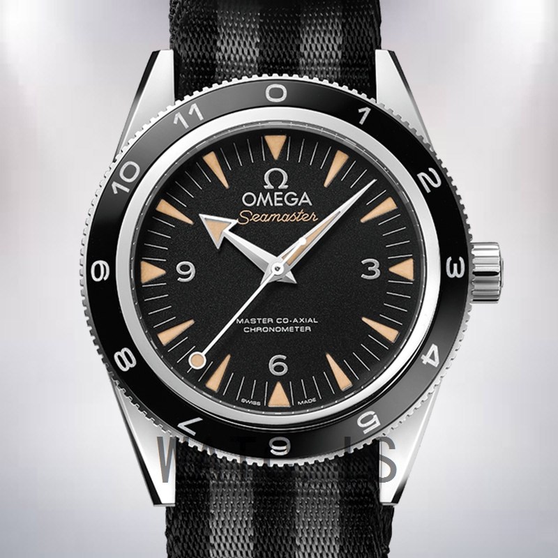 Omega Seamaster 41mm 233.32.41.21.01.001 Men Black Dial