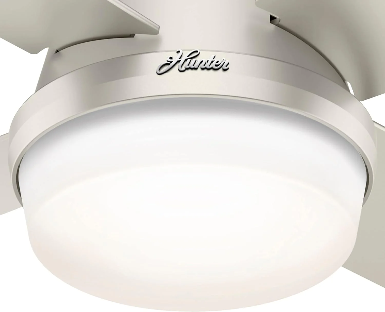 Hunter Fan Company Dempsey Low Profile Indoor / Outdoor Ceiling Fan with LED Light and Remote Control, 44