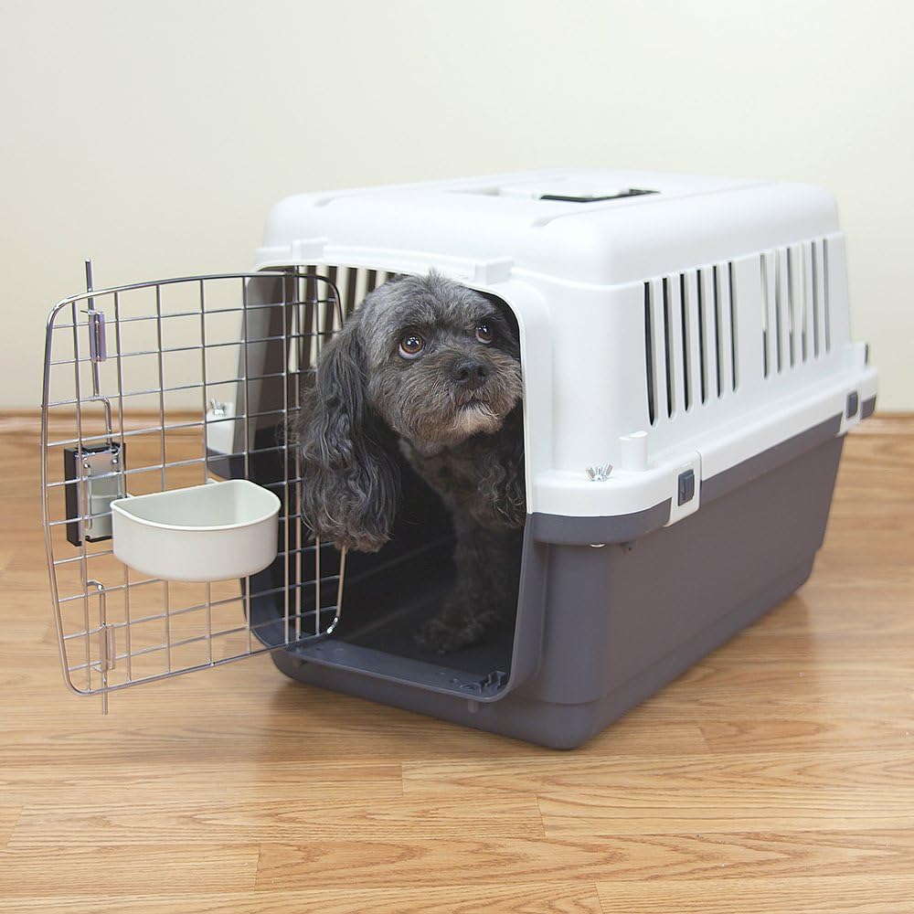 SportPet Designs Plastic Kennels Rolling Plastic Airline Approved Wire Door Travel Dog Crate, XXX-Large, Gray