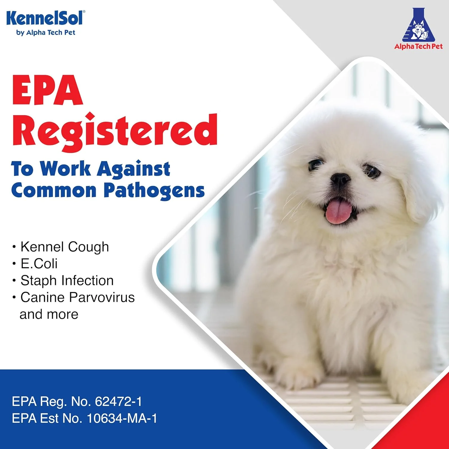 1-Step Kennel Cleaner - EPA Registered Liquid Concentrate Disinfectant and Deodorizer, Effective Against Bacteria and Viruses - 5 Gallons by Alpha Tech Pet