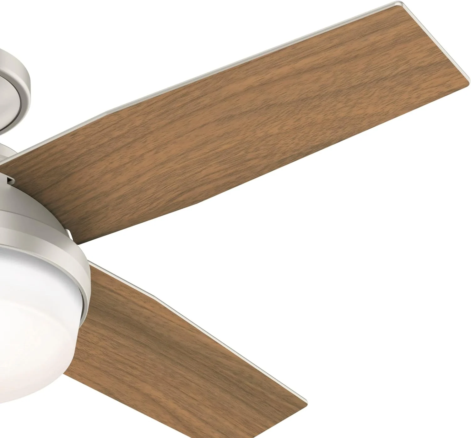 Hunter Fan Company Dempsey Low Profile Indoor / Outdoor Ceiling Fan with LED Light and Remote Control, 44
