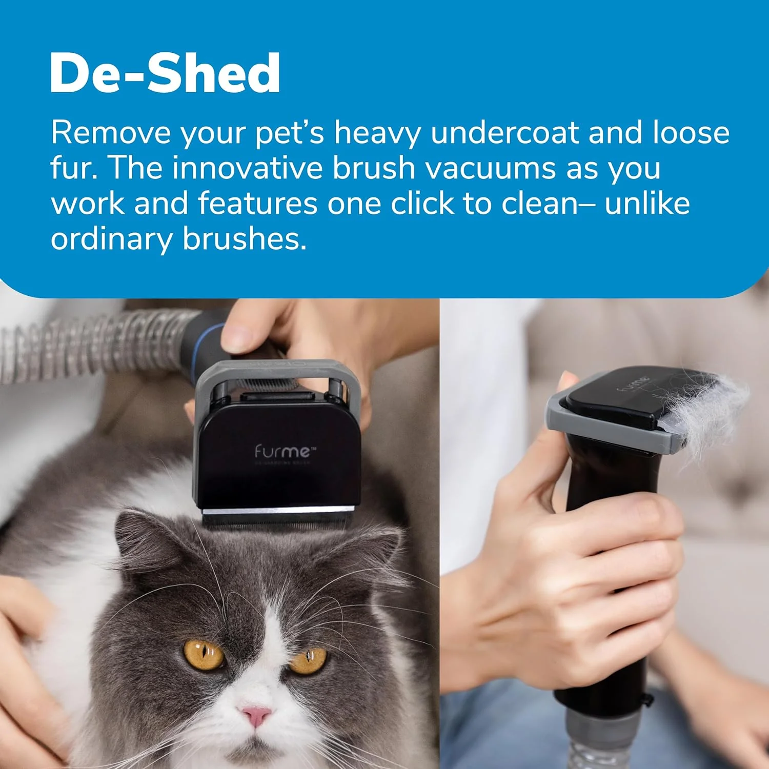 Professional Plus Pet Grooming Vacuum Kit, 5 Pet Grooming Tools, 2L Canister, Works for All Dogs, Cats, and Pet Fur