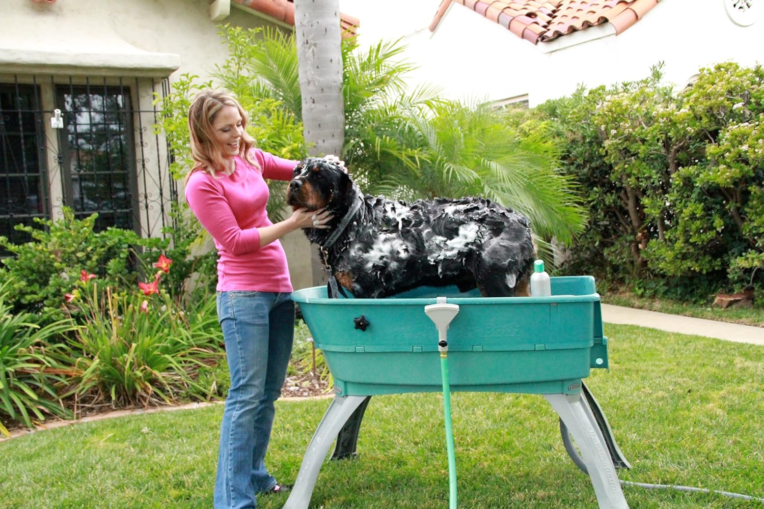 Booster Bath Elevated Pet Bathing Large Teal Steps Combo