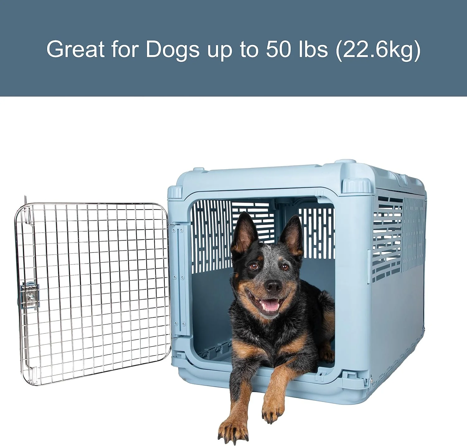 SportPet Designs Plastic Kennels Rolling Plastic Airline Approved Wire Door Travel Dog Crate, XXX-Large, Gray