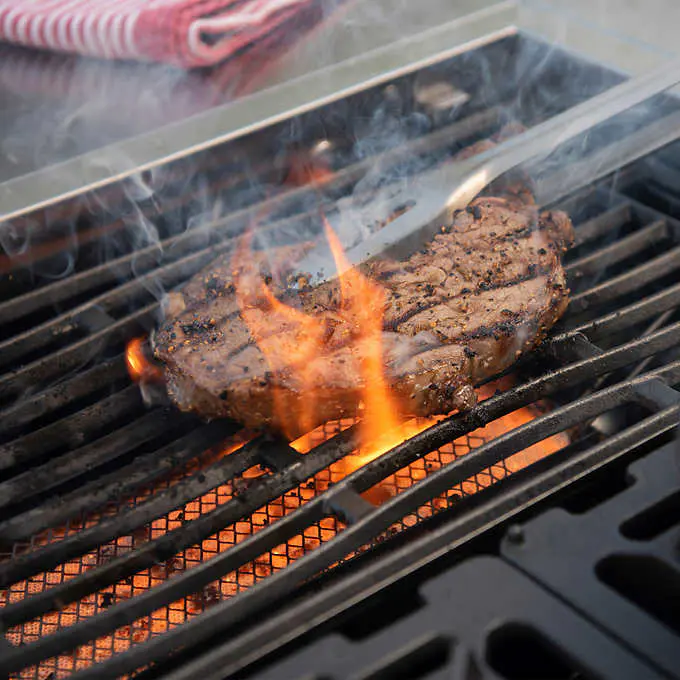 Kirkland Signature Stone Island 12-Burner Gas Grill