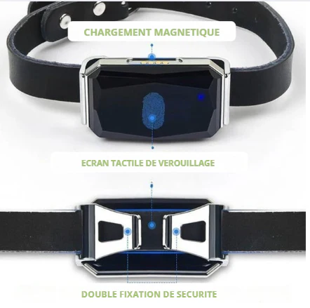 CatSafe - Collier GPS pour Chats.
