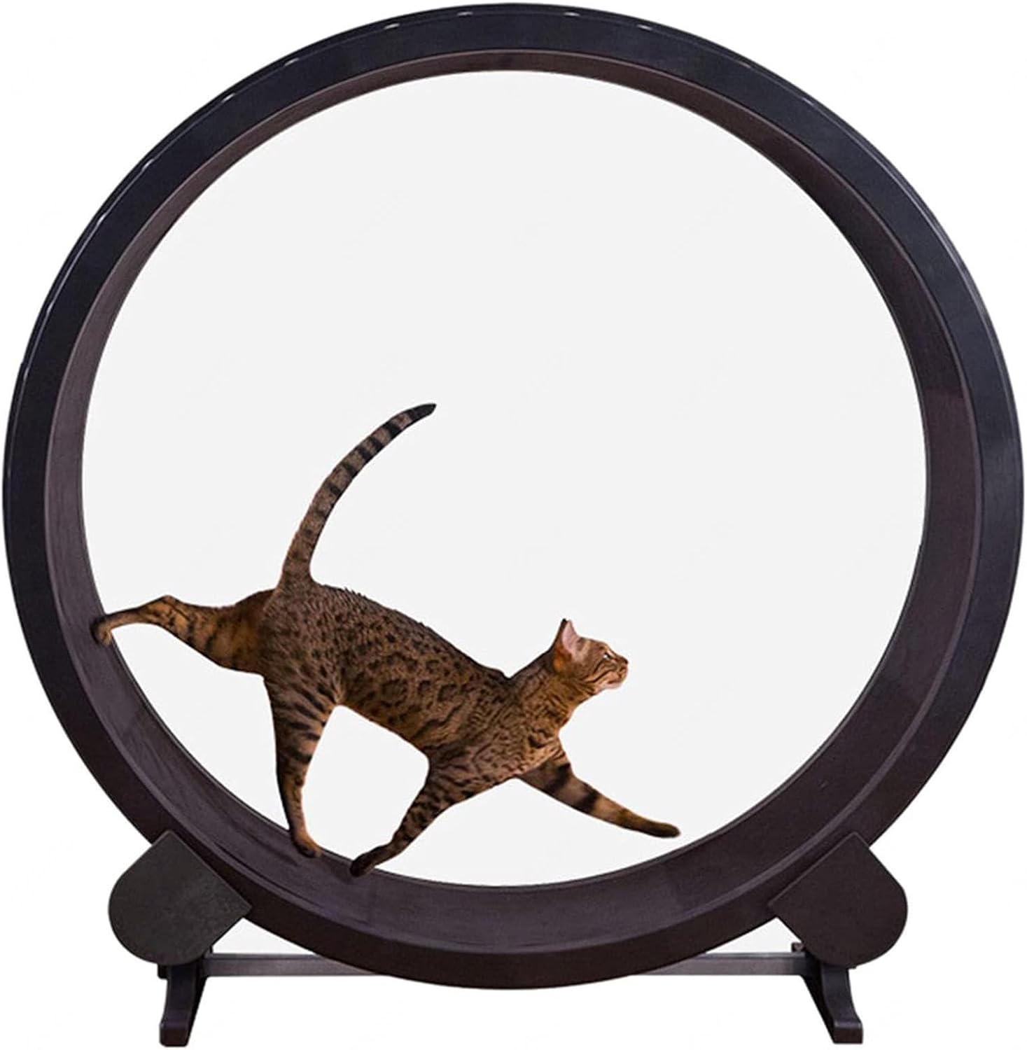 Tapis Roulant pour Chat, Roues d'exercice pour Petits Animaux, Diamètre 1,2 Mètres, Jouet de Sport pour Chat, Roue d'exercice Silencieuse, Grand Jouet pour Animaux de Compagnie, Parfait pour