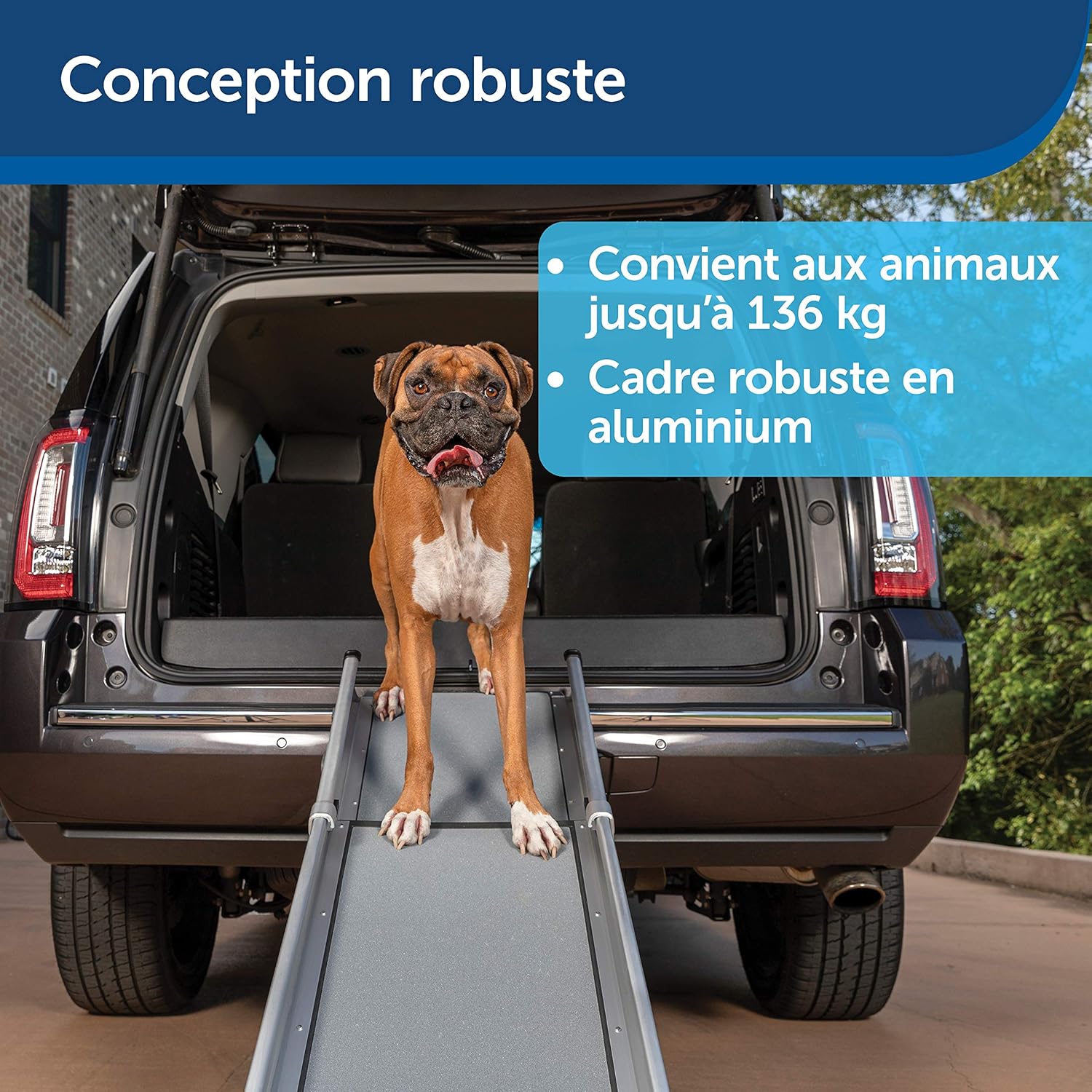 PetSafe - Grande Rampe Télescospique Deluxe Solvit pour Animal de Compagnie Pliable en 3 Parties - Pour Chien Agé, Faible - Rampe d'Accès Ideale pour Voitures - Aluminium, Légère, Compacte