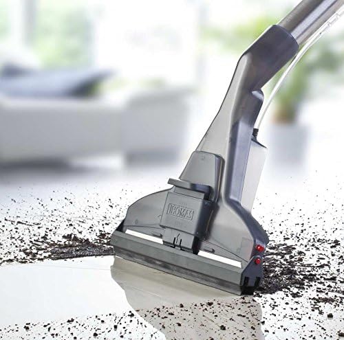 THOMAS AQUA + PET & Family Aspirateur aquafilter: élimine rapidement les poils d'animaux et odeurs animales, Orange/Gris