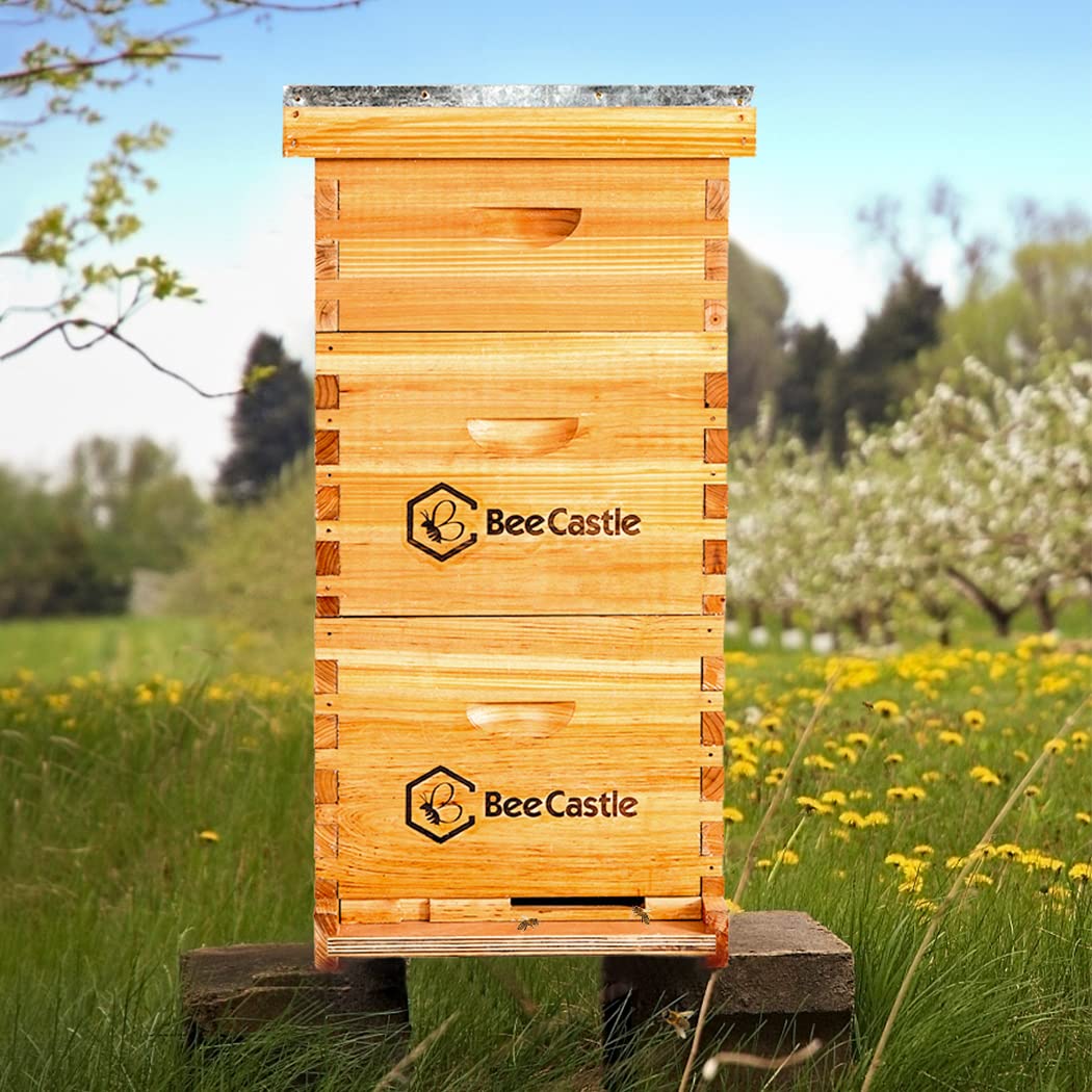 BeeCastle 10 Frame Langstroth Bee Hive Coated
