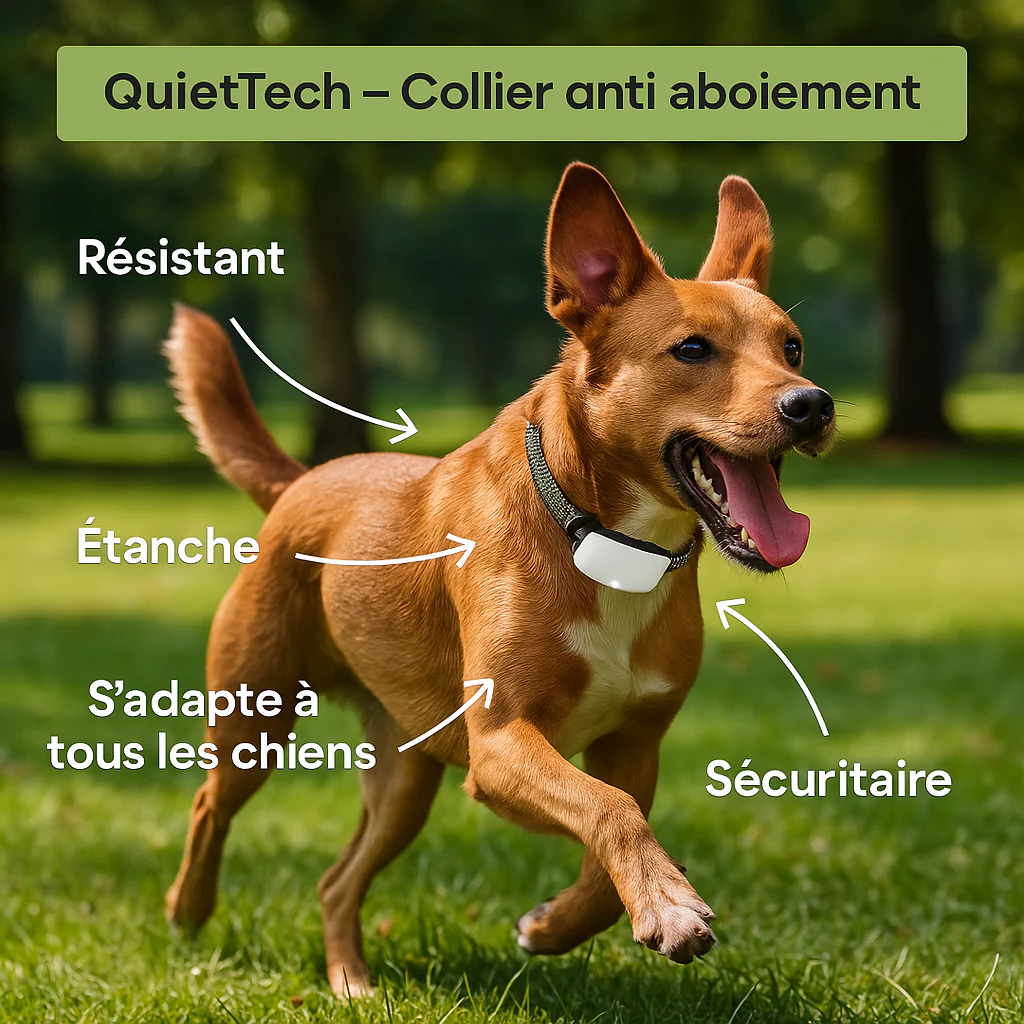 CalmPet - Collier Anti-Aboiement.