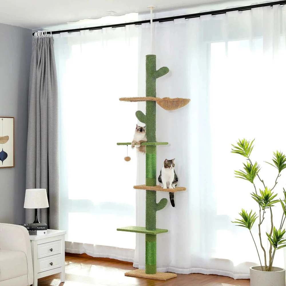 Arbre à chat Cactus - Moderne et attrayant
