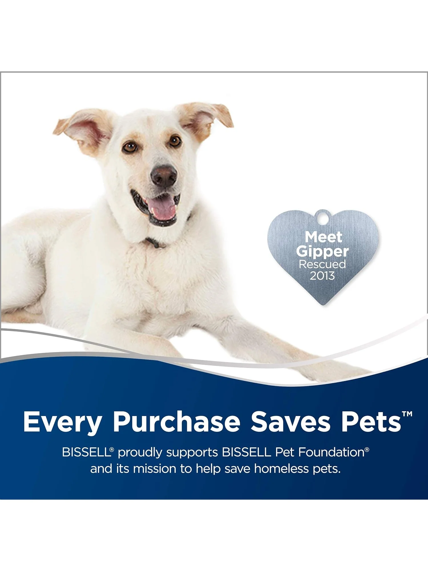 Bissell Steam Mop, Steamer, Tile, Hard Wood Floor Cleaner, 1806, Sapphire Powerfresh Deluxe