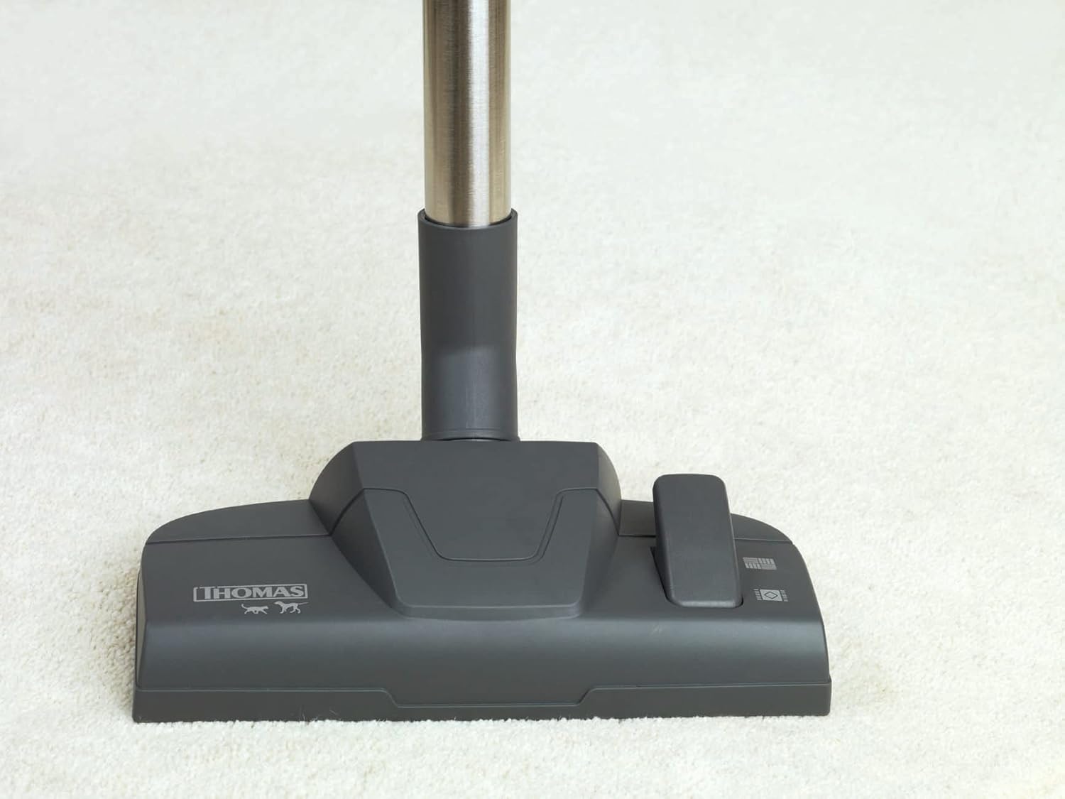 THOMAS AQUA + PET & Family Aspirateur aquafilter: élimine rapidement les poils d'animaux et odeurs animales, Orange/Gris