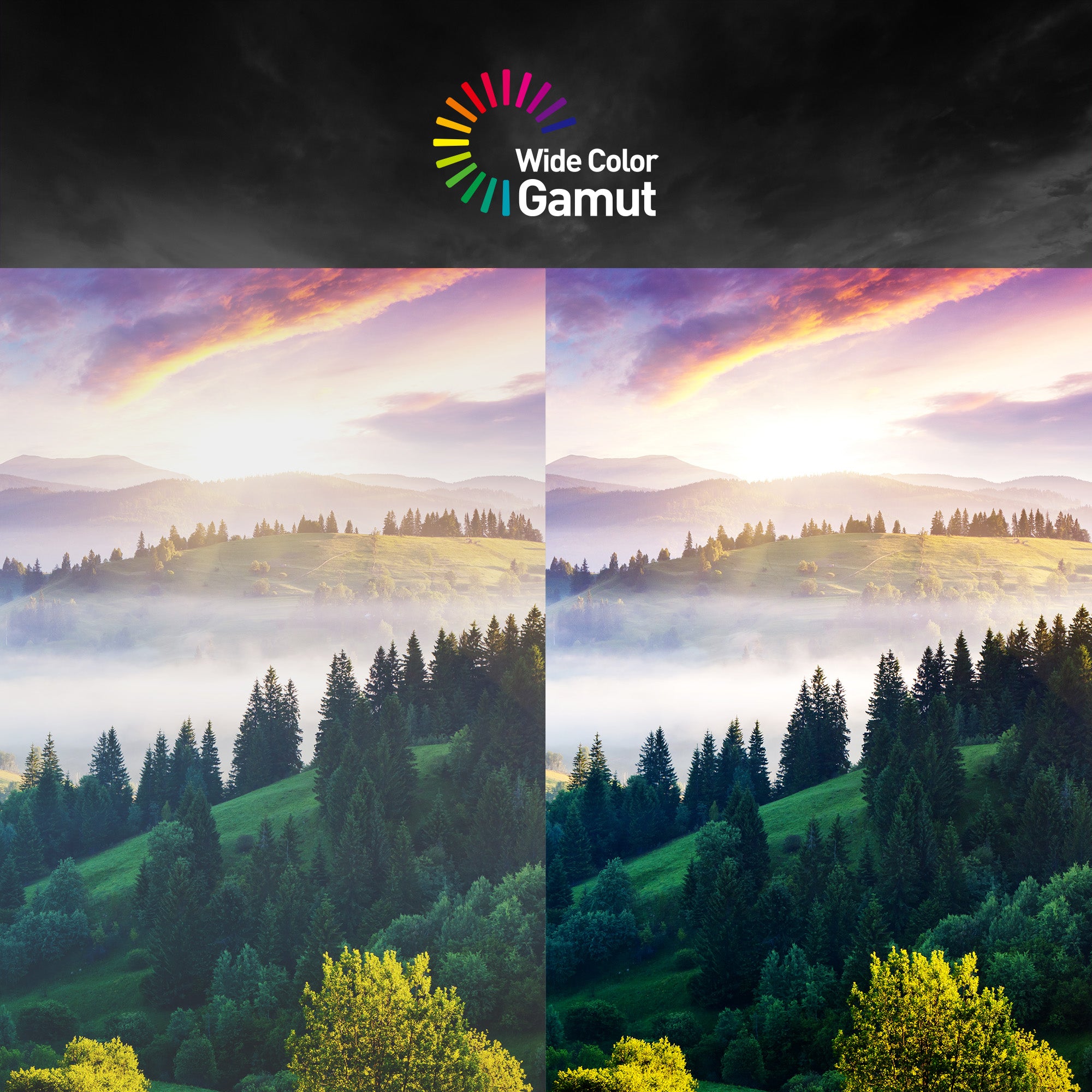 Écran Gamer | MAG 323UPF