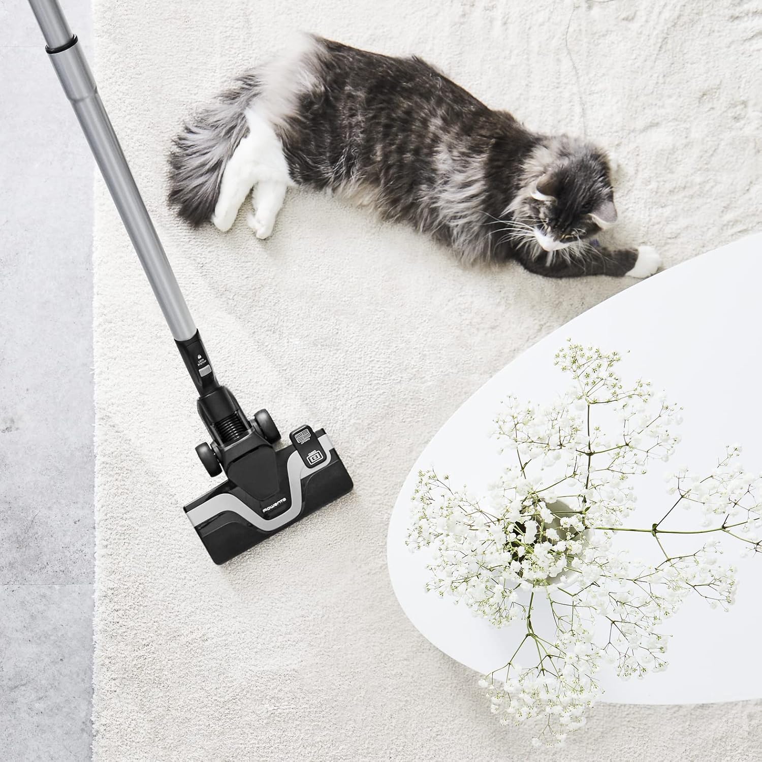 Rowenta Silence Force Aspirateur avec Sac Silencieux, Performant, Capacité 4,5 L & Lot de 4 Sacs Hygiène+, Compatibles avec Les aspirateurs traineau Compact Power, Power XXL