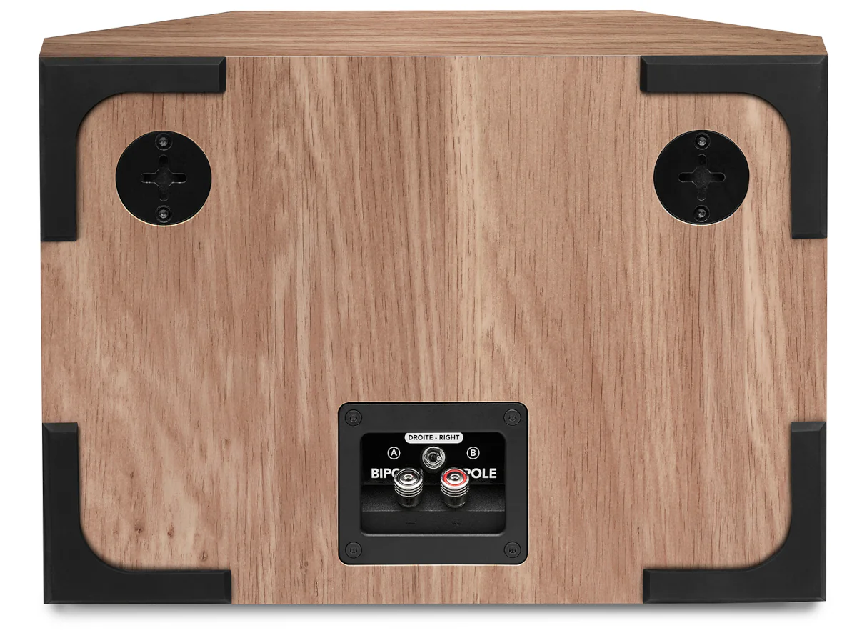 TRIANGLE BOREA BRS1 (la paire)