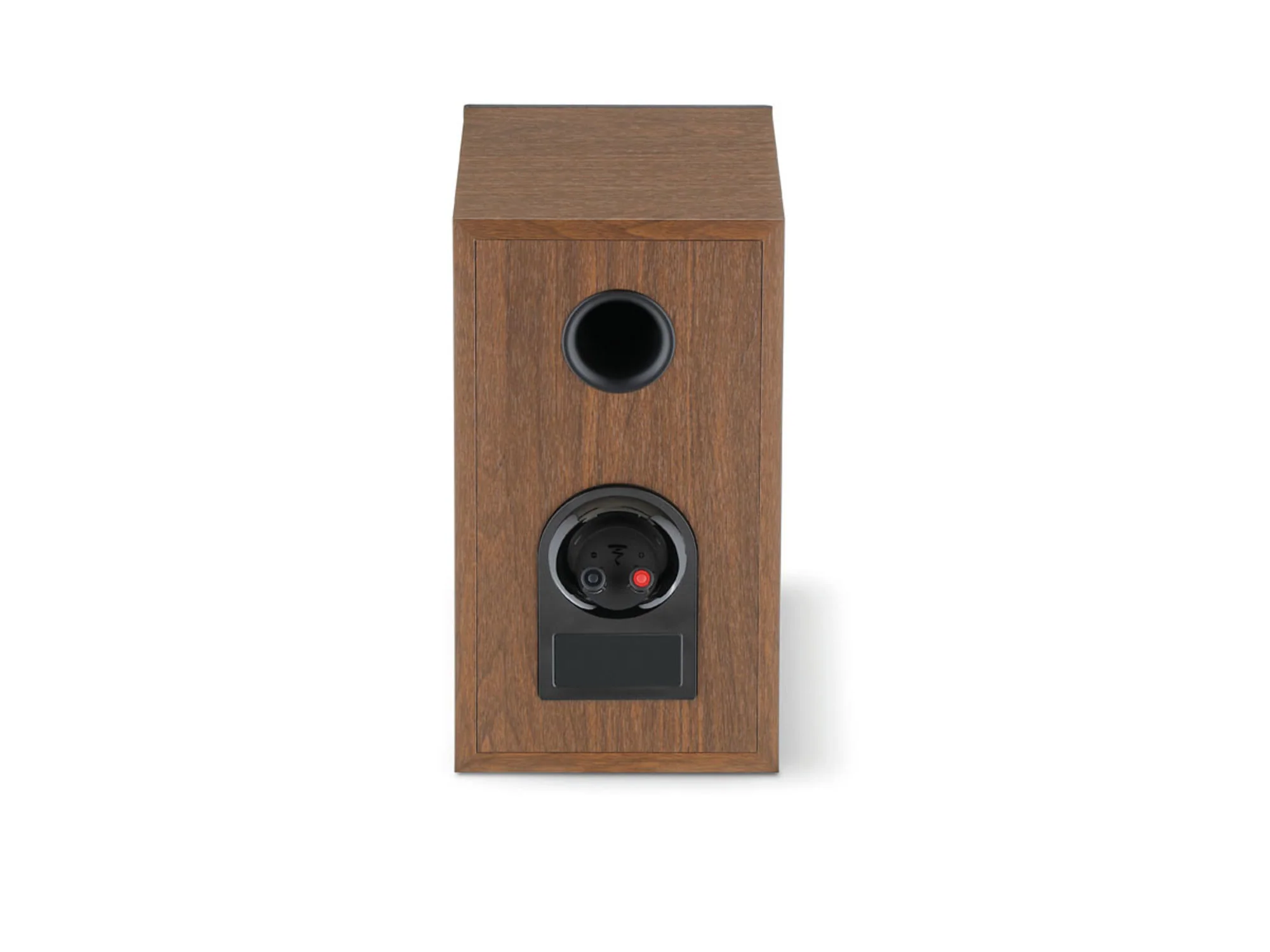 FOCAL THEVA N°1 (la paire)