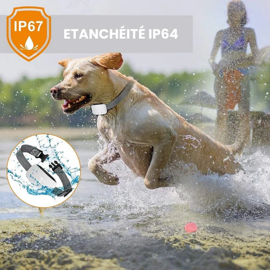 CalmPet - Collier Anti-Aboiement.