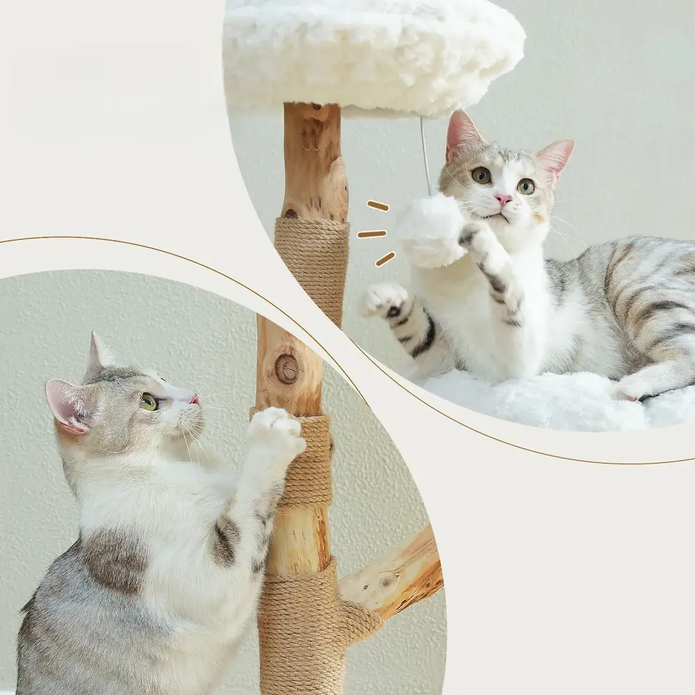 Arbre à chat Nuage - Griffoir sisal et perchoirs doux