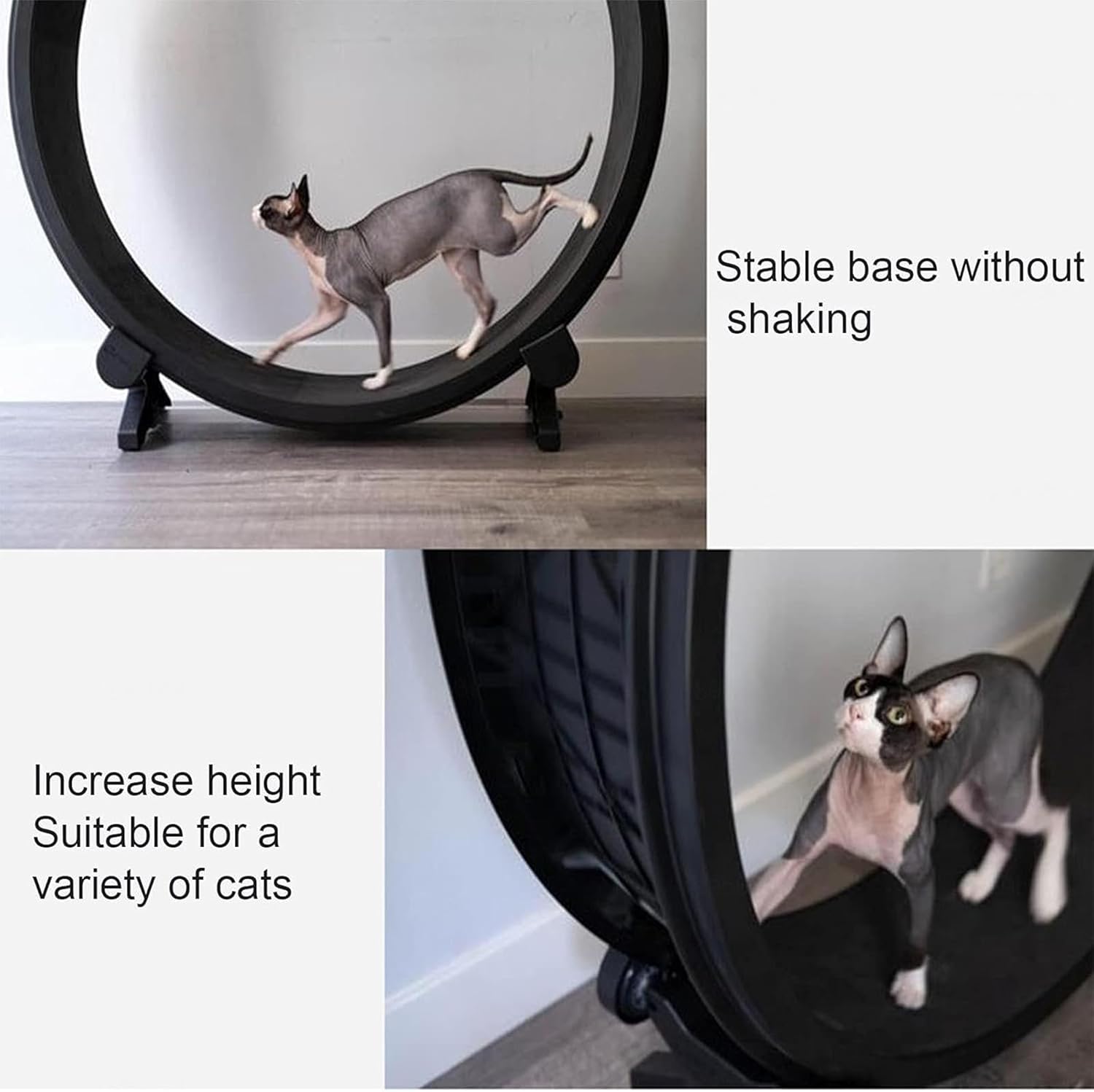 Tapis Roulant pour Chat, Roues d'exercice pour Petits Animaux, Diamètre 1,2 Mètres, Jouet de Sport pour Chat, Roue d'exercice Silencieuse, Grand Jouet pour Animaux de Compagnie, Parfait pour