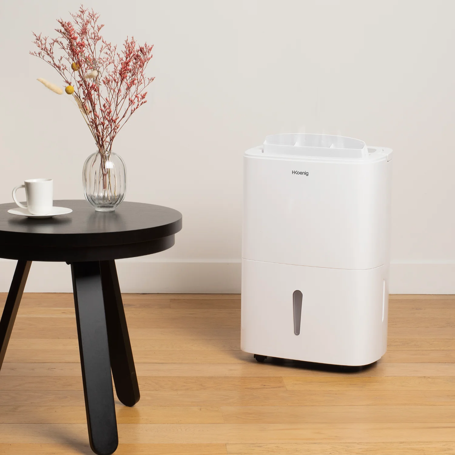 Déshumidificateur - DSH520 H.Koenig