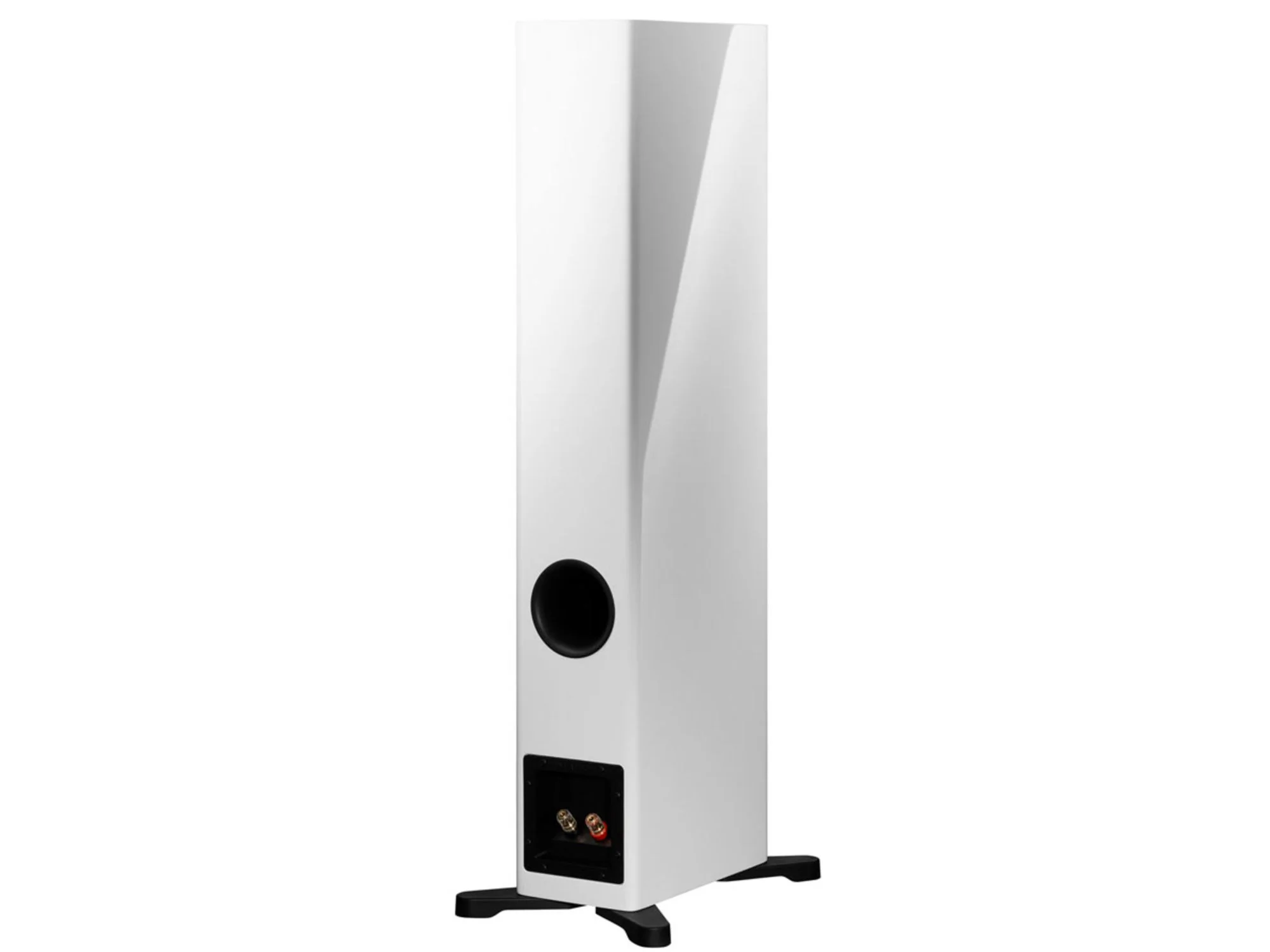 DYNAUDIO EVOKE 30 (la paire)