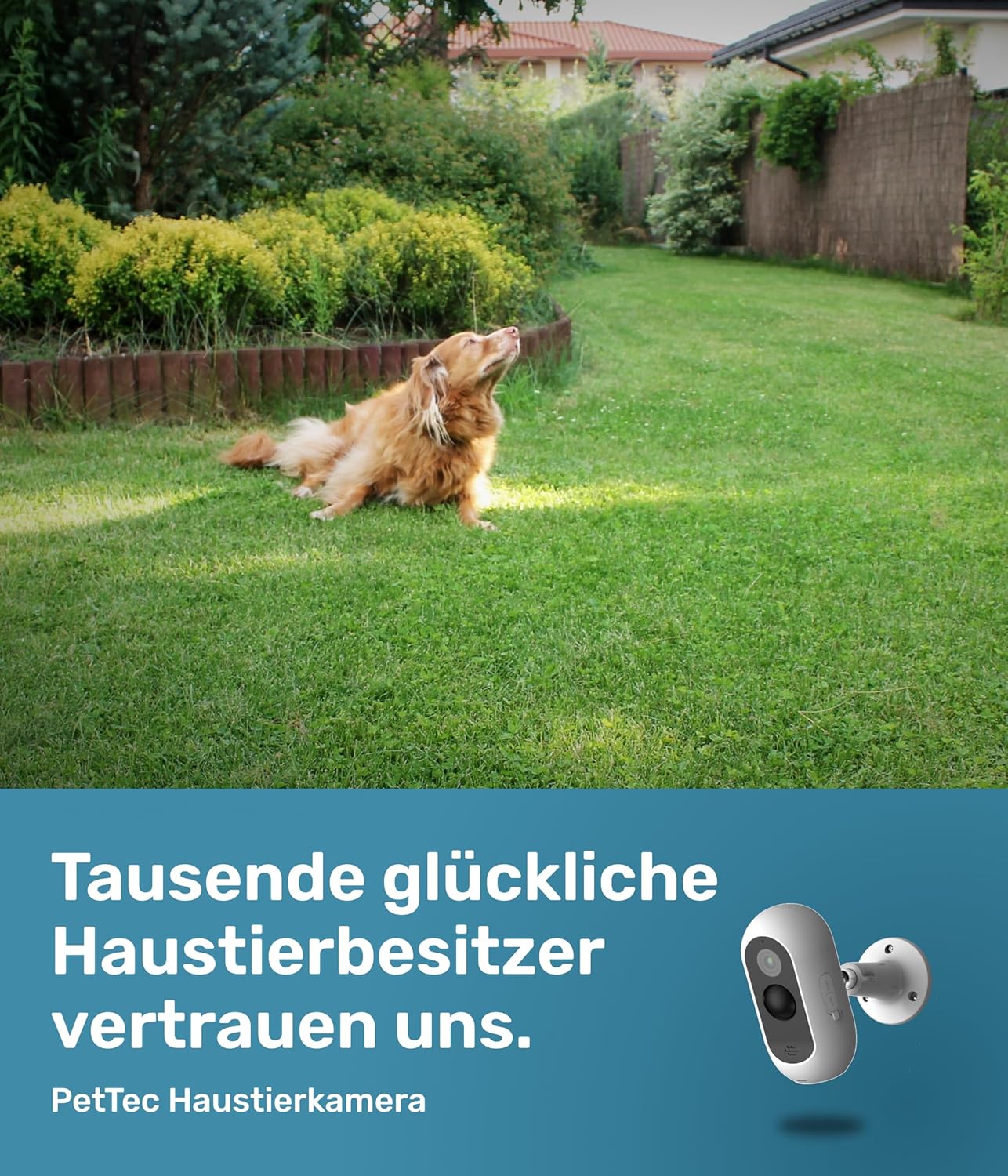 PetTec Cam Free Lot de 2 caméras sans fil pour animaux de compagnie avec application [sans piège à abonnement] – Caméra pour chats et chiens intérieur/extérieur – Détection de mouvement et fonction