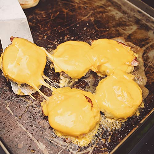 Razor Griddle Gas Grill & Griddle for Backyard Cooking and Camping, Portable Grill with Cart & Side Shelf