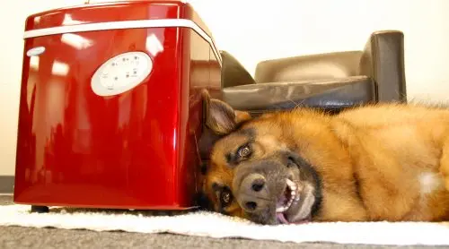 NewAir Counter Top Ice Maker Machine (Black), Compact Automatic Ice Maker, Cubes Ready in 6 Minutes, 28 Pounds in 24 Hours - Perfect for Home/Kitchen/Office/Bar