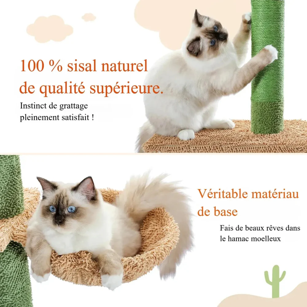 Arbre à chat Cactus - Moderne et attrayant