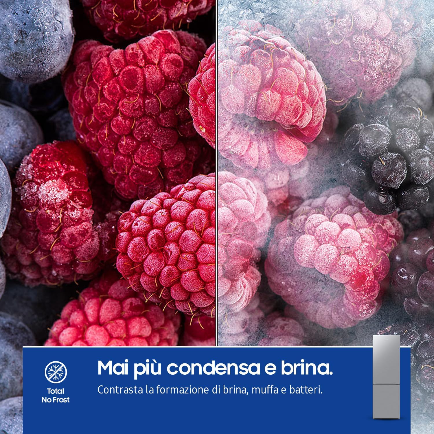 SAMSUNG Réfrigérateur congélateur bas RB33B610ESA