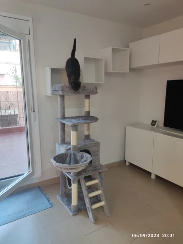 AristoCat - Arbre a Chat Dernière Génération.