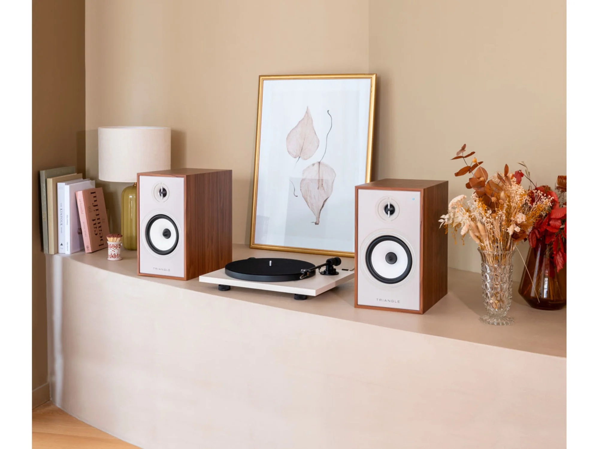 TRIANGLE BOREA BR02 Connect (la paire)