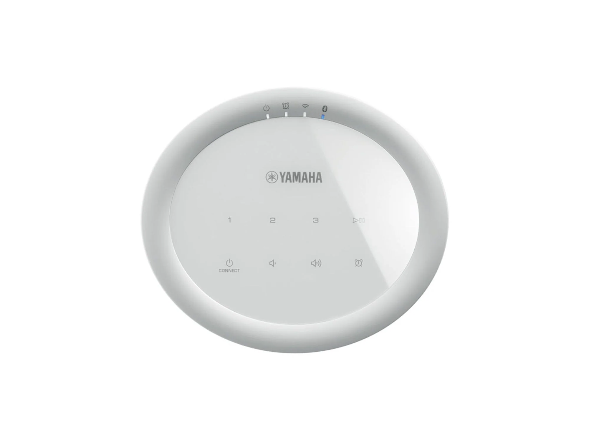 YAMAHA MusicCast 20 (WX-021)