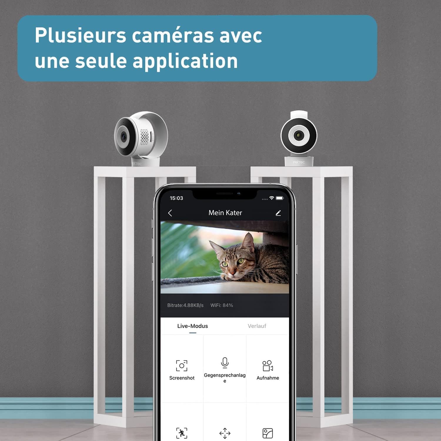 PetTec Cam Free Lot de 2 caméras sans fil pour animaux de compagnie avec application [sans piège à abonnement] – Caméra pour chats et chiens intérieur/extérieur – Détection de mouvement et fonction