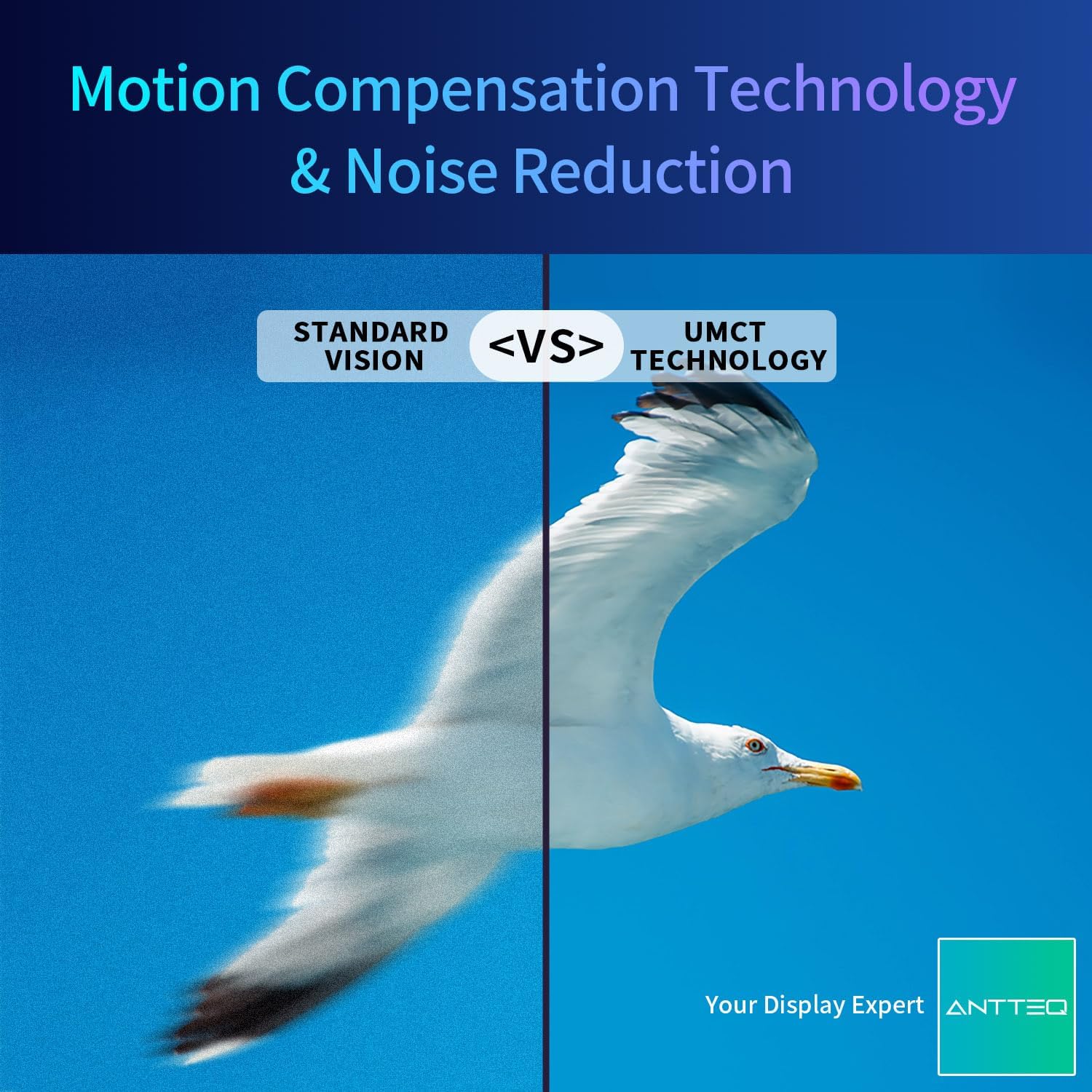 Antteq AB42D1 télévision 42 Pouces (TV 107 cm), Dolby Audio, LED, Triple Tuner DVB-C / T2 / S2, CI+, HDMI, Lecteur multimédia Via USB, Sortie Audio numérique, y Compris Mode hôtel