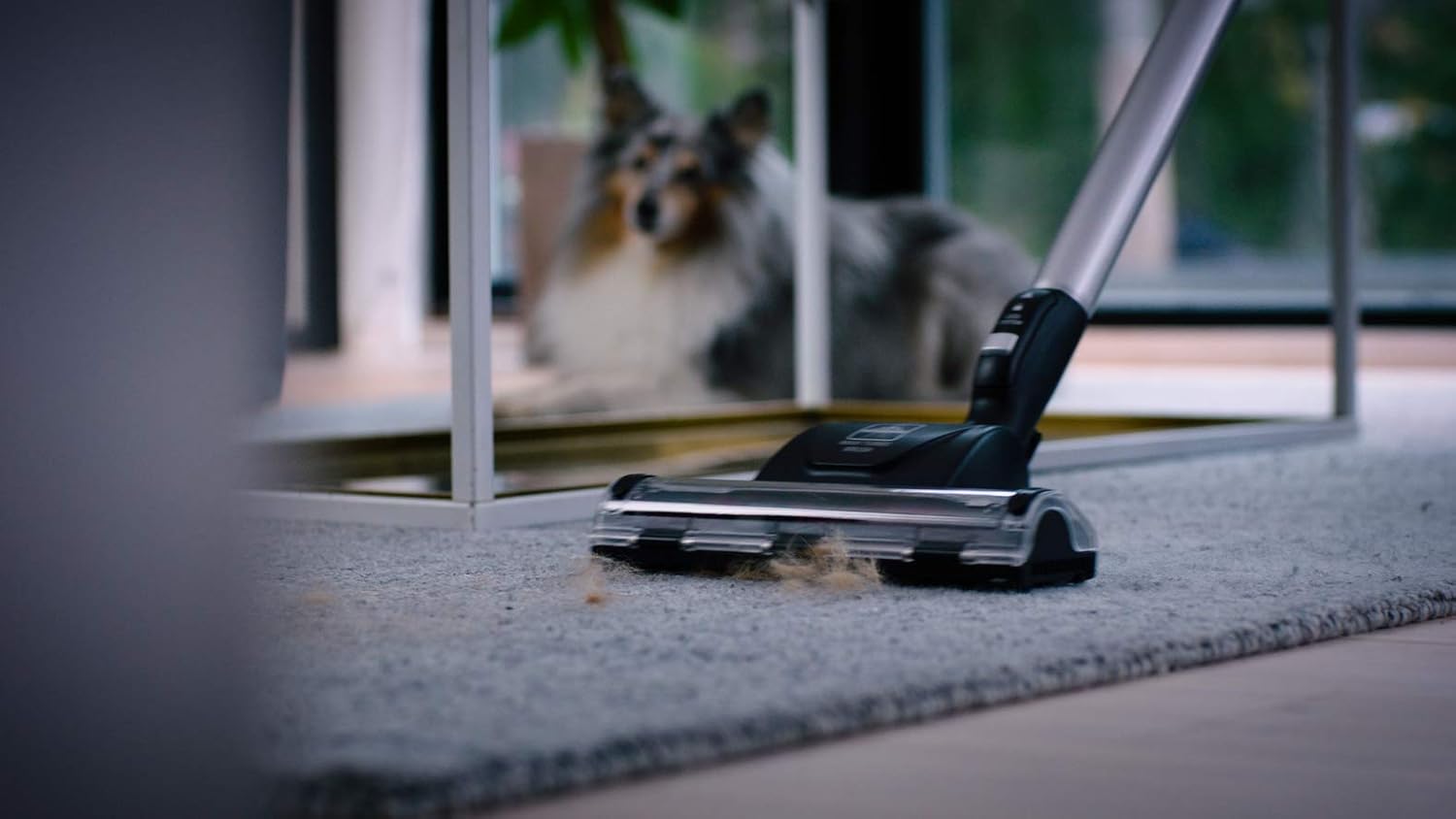 Rowenta Silence Force Aspirateur avec Sac Silencieux, Performant, Capacité 4,5 L & Lot de 4 Sacs Hygiène+, Compatibles avec Les aspirateurs traineau Compact Power, Power XXL