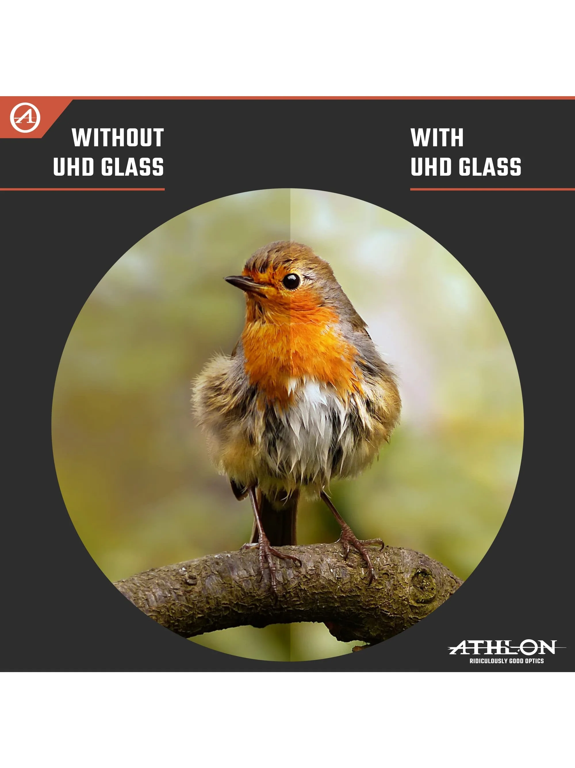 Athlon Optics 8x42 Midas UHD Gray Binoculars with ED Glass for Adults and Kids, High-Powered Binoculars for Hunting, Birdwatching, and More