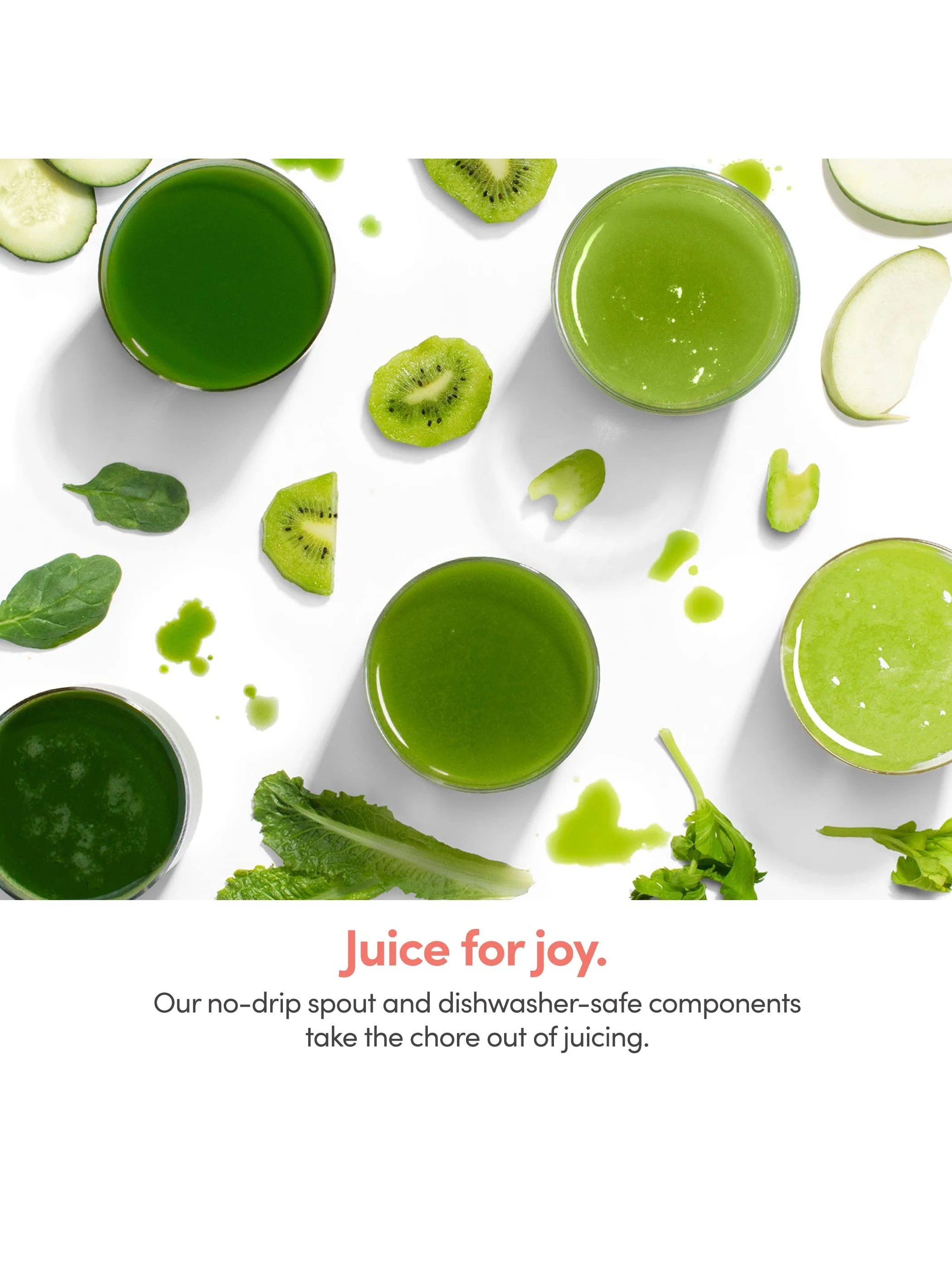 nutribullet Slow Juicer, Slow Masticating Juicer Machine, Easy to Clean, Quiet Motor & Reverse Function, BPA-Free, Cold Press Juicer with Brush, 150 Watts, Charcoal Black, NBJ50300, 24-oz