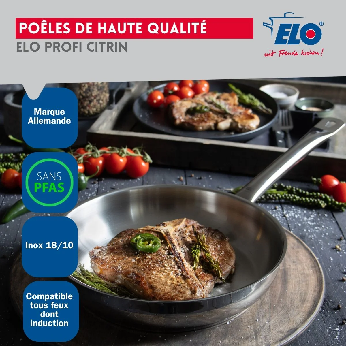 Ensemble de 2 Poêles de cuisson 28 et 32 cm et 3 faitouts 14, 16 et 26 cm Elo Profi Citrin Elo