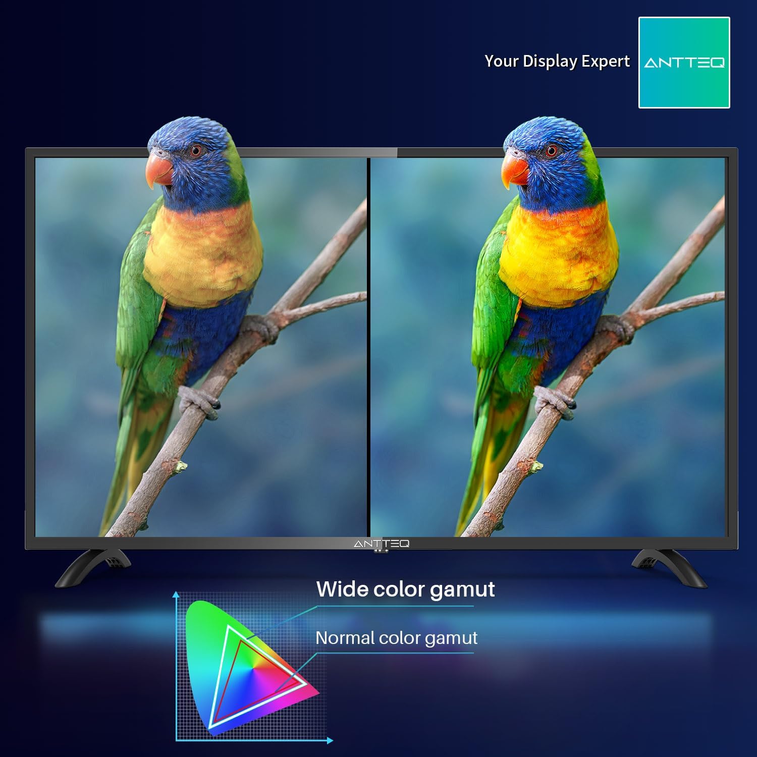 Antteq AB42D1 télévision 42 Pouces (TV 107 cm), Dolby Audio, LED, Triple Tuner DVB-C / T2 / S2, CI+, HDMI, Lecteur multimédia Via USB, Sortie Audio numérique, y Compris Mode hôtel